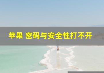 苹果 密码与安全性打不开